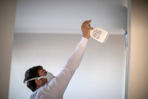 Best Black Mold Removal  in Wendover, UT