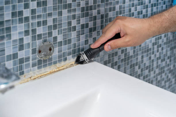 Best Toxic Mold Removal  in Wendover, UT