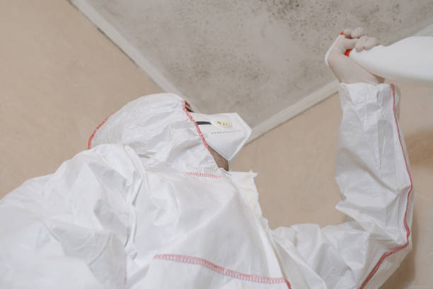 Best Mold Testing  in Wendover, UT
